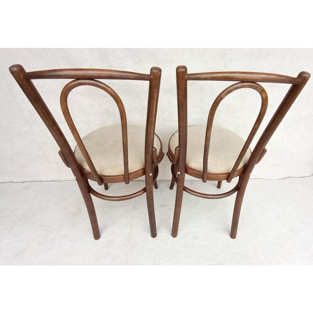 Set of Beech Bentwood Chairs from Tatra, 1960s For Sale - Image 6 of 17