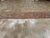 Galerie Shabab Collection Early 20th Century Persian Serab Runner For Sale In New York - Image 6 of 10