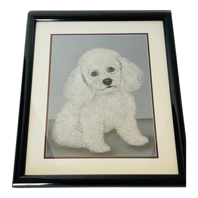 Sweet White Poodle Puppy Dog Portrait Original Art Painting Signed For Sale