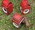 Vintage Railway Signal Lanterns, Austria, 1930s, Set of 3 For Sale - Image 12 of 17