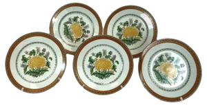 Model Chrysantheme Plates from Limoges, 1980s, Set of 5
