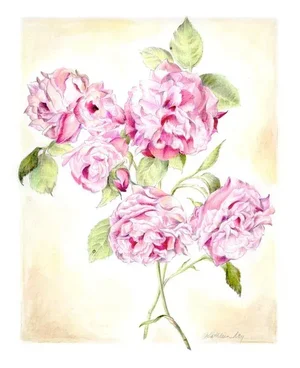 Vintage Style Summer Floral, "Climbing Rose" Original Mixed Media Drawing