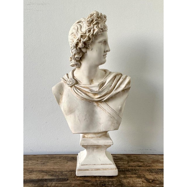 Ceramic Apollo Belvedere Bust Sculpture For Sale - Image 16 of 18
