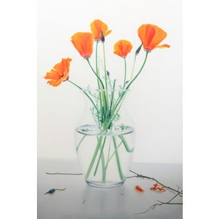 Quiet Suspension - Oil on Canvass For Sale