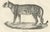19th-century lithograph of the leopard in a graceful standing pose this finely detailed 19th-century lithograph features...
