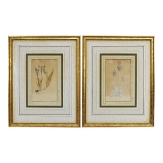 Late 18th Century William Curtis Botanical Engravings, 1798, Pair in Custom Gilt Frames For Sale