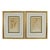 Late 18th Century William Curtis Botanical Engravings, 1798, Pair in Custom Gilt Frames For Sale