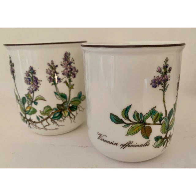 Traditional Villeroy & Boch Botanica Coffee Mugs - a Pair For Sale - Image 3 of 6