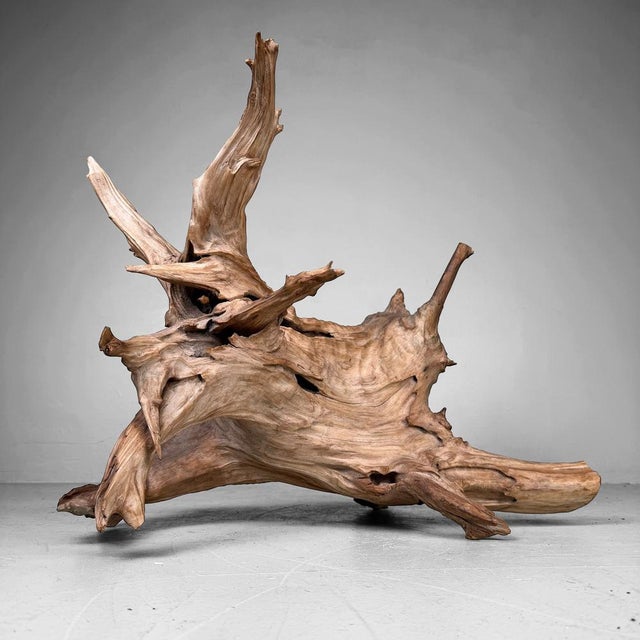 1960s Japanese Koboku Root Wood Sculpture, 1960s For Sale - Image 5 of 13