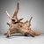 1960s Japanese Koboku Root Wood Sculpture, 1960s For Sale - Image 5 of 13