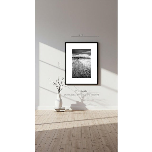Paul Cooklin, Crop Field, Couziers, Edition of 50 For Sale - Image 6 of 7