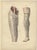 Set of four antique anatomy prints titled 'Membre Abdominal'. Colored lithographs of human legs with superimposed flaps....