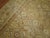 Antique Zabihi Collection Straw Color Khotan Rug - 6'10" x 13'5" For Sale - Image 9 of 10