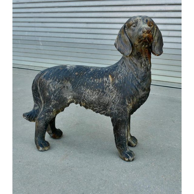 Weathered Standing Statue of a French Hunting Spaniel This handsome statue came from France where he has been on guard...