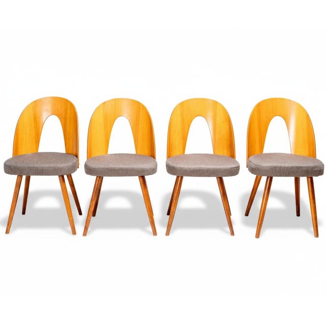 Dining Chairs by Antonín Šuman for Tatra Furniture, Czechoslovakia, 1960s, Set of 4 For Sale - Image 11 of 11