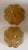 Gold 1980s Mid-Century Modern Golden Murano Glass Floral Flush Lamps - a Pair For Sale - Image 8 of 16