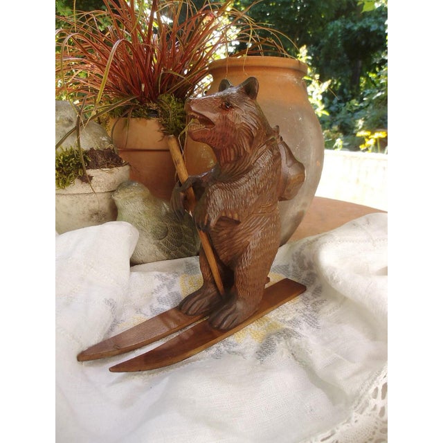 Antique Bear from the Black Forest, 1890s For Sale - Image 6 of 12