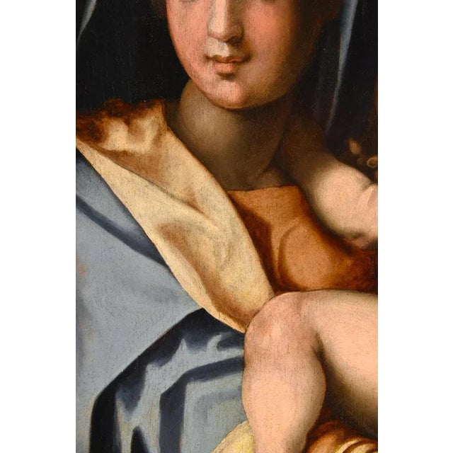 Workshop of Andrea del Sarto / Andrea d'Agnolo di Francesco, Madonna and Child, 1530, Oil on Board For Sale - Image 9 of 18