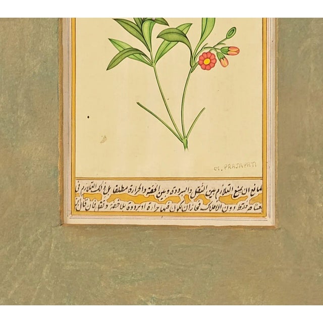 Miniature of Hummingbird, India Circa 1870 For Sale - Image 4 of 4