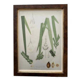 Example of Reproduction Prints