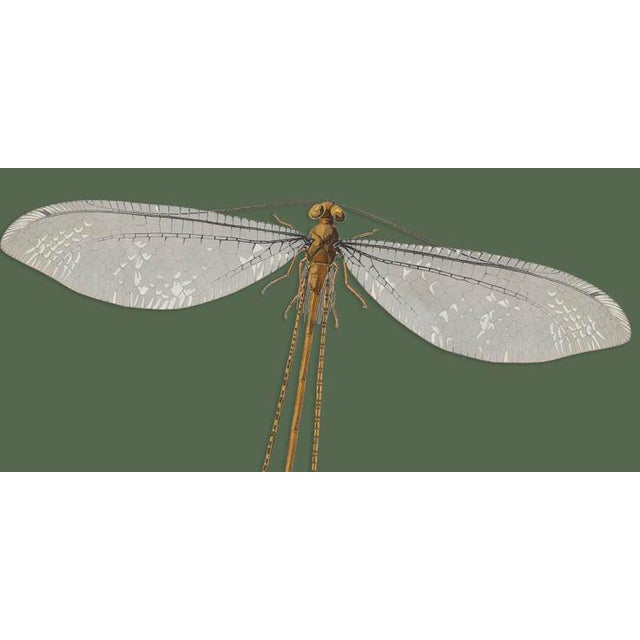 The series was produced by CFA editions from original pochior prints by E.A. Seguy. The series of insects that Seguy...