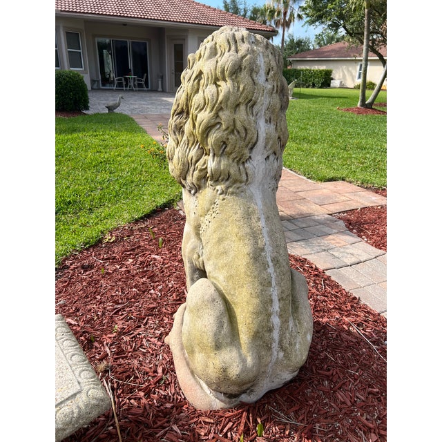 Large Concrete Statue of a Sentinel Guard Lion . The lion appears to be gazing out over his domain with a watchful...