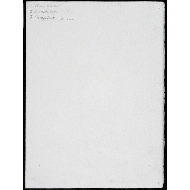 "Botanica VI" is a black & white gum-dichromate print. This photography process goes back to the 1850. In brief, hand made...