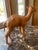Leather Camel For Sale - Image 4 of 6