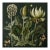 # 20' X 20' Original Watercolor Botanical Fine Art Print - Dark Green, Evergreen, Unframed / Herbarium For Sale