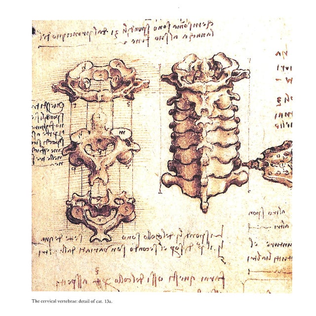 "Leonardo Da Vinci the Anatomy of Man" 1992 Clayton, Martin For Sale - Image 4 of 7