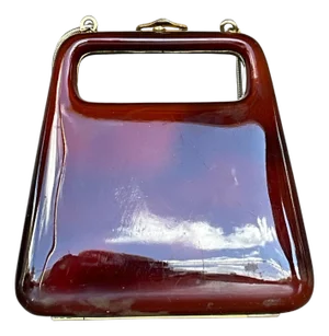 Vintage Retro Lucite Clutch