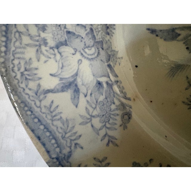 19th Century Asiatic Pheasant Platter For Sale - Image 9 of 17