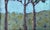 Paint Textural Serenity: Jacobson's Three Little Trees. Oil Painting For Sale - Image 7 of 13