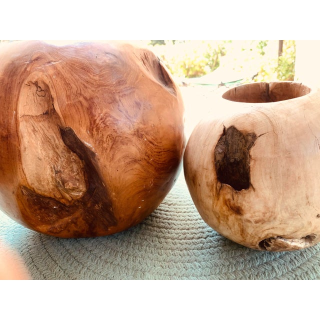 Handcrafted from teak root, these planters are uniquely individual from one another. Bring nature into your home with...