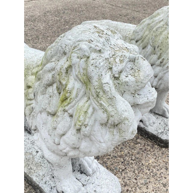 Sculpture Materials Vintage Classical Style Standing Lion Cement Guardian Entry Garden Statue - Pair For Sale - Image 7 of 12