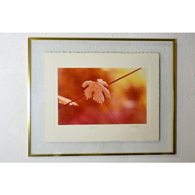 Greg Copeland Print Autumn Leaf | Large Glass Frame For Sale In Fayetteville, AR - Image 6 of 6