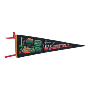 Vintage Washington DC Felt Flag Pennant