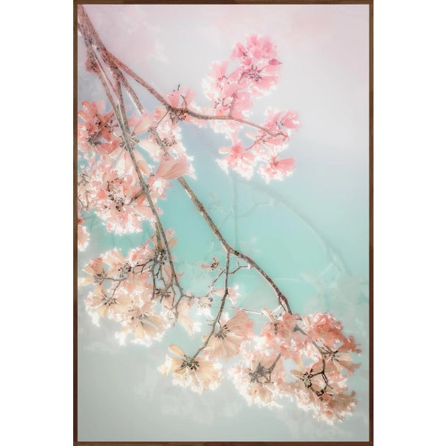 On a CLoud, 75x50 Contemporary, FIne Art Photography by Kristin Hart For Sale In Orlando - Image 6 of 7