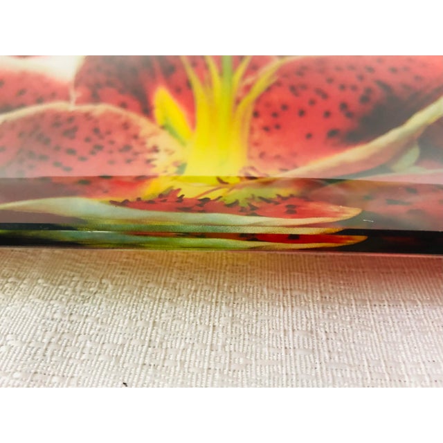 Glass Vintage Prima Donna Red Flower Plates, Set of 3 For Sale - Image 7 of 9