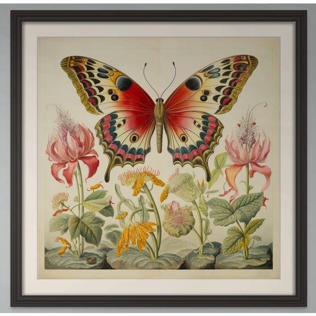 Butterfly and Flowers No. 5 – Fine Art Print This elegant fine art print features a magnificent butterfly displayed among...