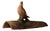 19th Century French Terracotta Roof Tile With Motif (D) For Sale