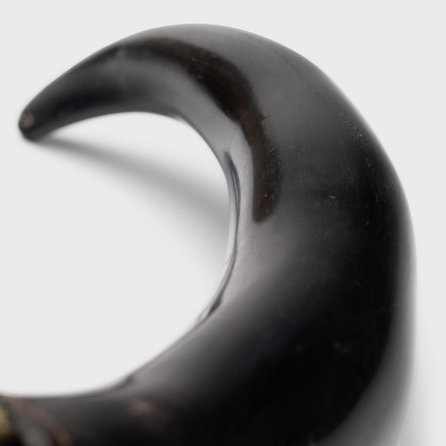 Chinese Buffalo Horn Calligraphy Brush, C. 1900 For Sale - Image 4 of 4
