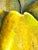 Late 20th Century “Golden Pears” Abstract Still Life Painting, 24” For Sale - Image 4 of 9