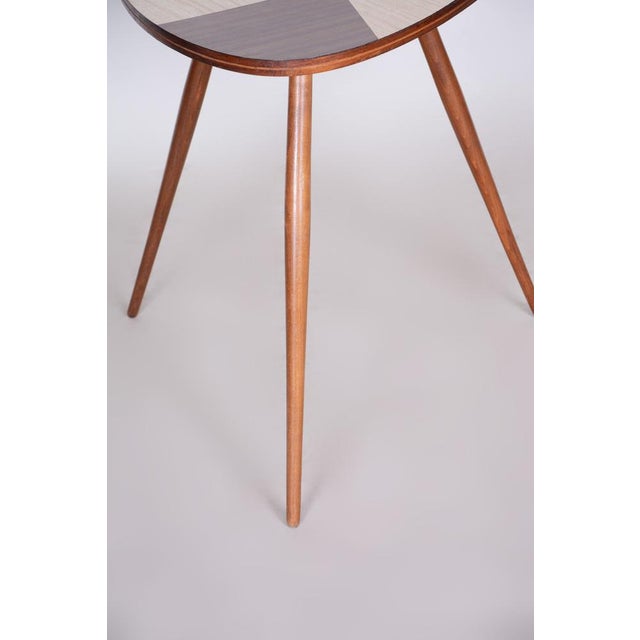 Mid-Century Small Table in Beech and Umakart, Czech, 1950s For Sale - Image 6 of 8