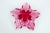 Glass Josef Hospodka Chribska Glassworks, Czech Pink Star Flower Footed Glass Dish For Sale - Image 7 of 9