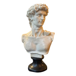 Composite Marble Bust of David For Sale
