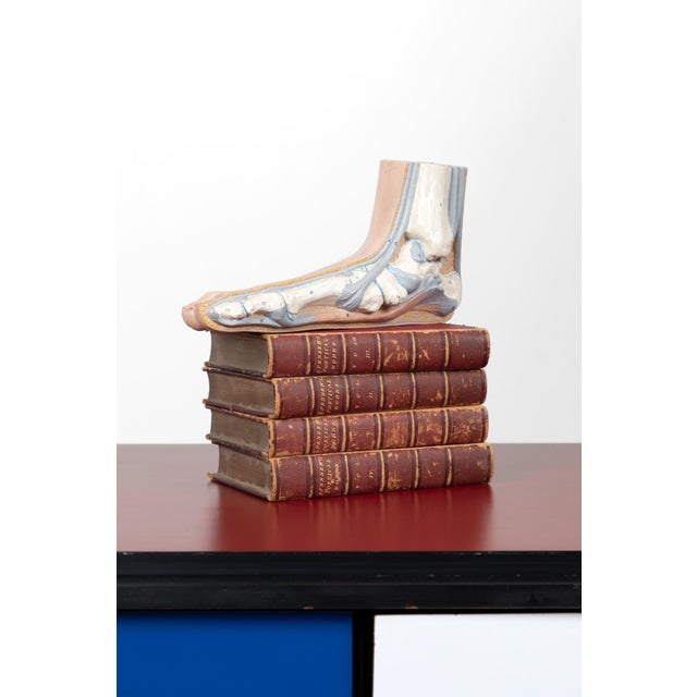 Brown Vintage Anatomical Foot Model For Sale - Image 8 of 8