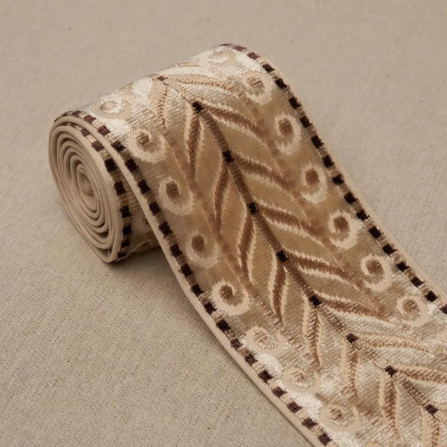 Contemporary Schumacher Marion Velvet Tape in Champagne For Sale - Image 3 of 3