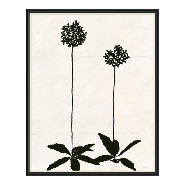 Allium (var. 2) by Susan Hable, Black Frame For Sale