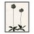 Allium (var. 2) by Susan Hable, Black Frame For Sale